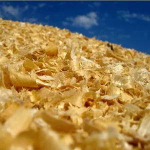 Опилки оптом в Арзамасе купить - оперативная доставка по всей России