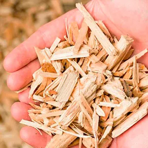 Щепа лиственная оптом в Арзамасе и других различных марок заказать от 16 тонн