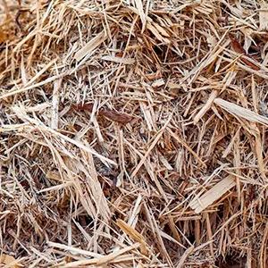 Щепа для арболита оптом в Арзамасе и других различных марок заказать от 16 тонн