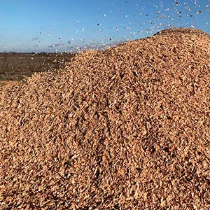 Щепа топливная оптом в Арзамасе от завода-производителя Лигнум Ресурс